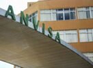Anvisa aprova registro da vacina contra Covid-19 da Pfizer/BioNTech no Brasil