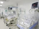 Um terço dos bebês que morreram de Covid-19 no Brasil não teve acesso à UTI