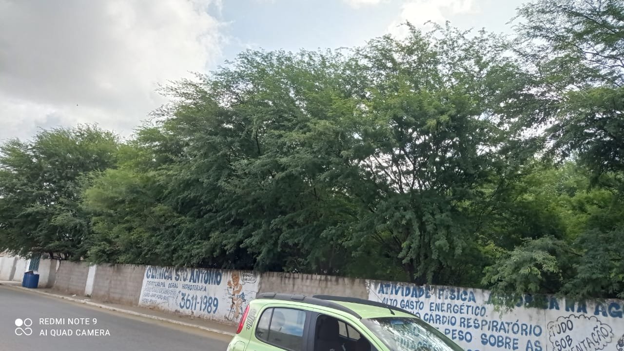 arv cpm