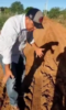 “Prefeita, aqui mora gente”: locutor e produtor rural reclama de precariedade de estrada na zona rural de Juazeiro
