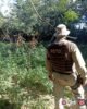 Operação Terra Limpa: Polícia Militar erradica mais de 17.500 pés de maconha, em Curaçá