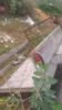 “Alto do Alencar, um bairro esquecido”, lamenta moradora; ela reivindica à Prefeitura de Juazeiro atenção para o local