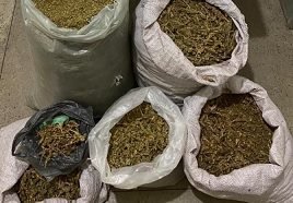 drogas_0xlajWd_widemd