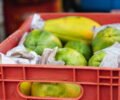 Confira a cotação dos hortifrutigranjeiros comercializados no Mercado do Produtor de Juazeiro nesta segunda-feira