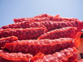 Confira a cotação dos hortifrutigranjeiros comercializados no Mercado do Produtor de Juazeiro nesta segunda-feira