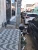 Morador da Antônio Cursino, centro de Juazeiro, reclama dos transtornos causados por lixo acumulado na rua; resíduos são de órgão da prefeitura e prédio residencial