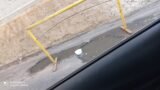 “Juazeiro está sucateada”: buracos nas ruas e avenidas da cidade irritam motoristas que pedem socorro à gestão municipal
