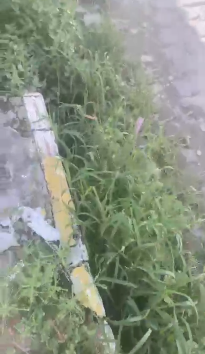 novo mundo rua