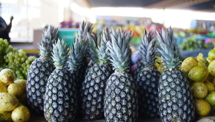 photo_5172844202143361858_y