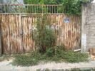 “Nem alugam, nem vendem e nem cuidam”: moradores reclamam de transtornos causados por imóveis abandonados em ruas do centro de Juazeiro