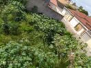 Morador reclama de mato e lixo em terreno no bairro Cajueiro, em Juazeiro, e diz que poder público se eximiu da responsabilidade de identificar proprietário: “Nós moradores que temos que descobrir o dono”