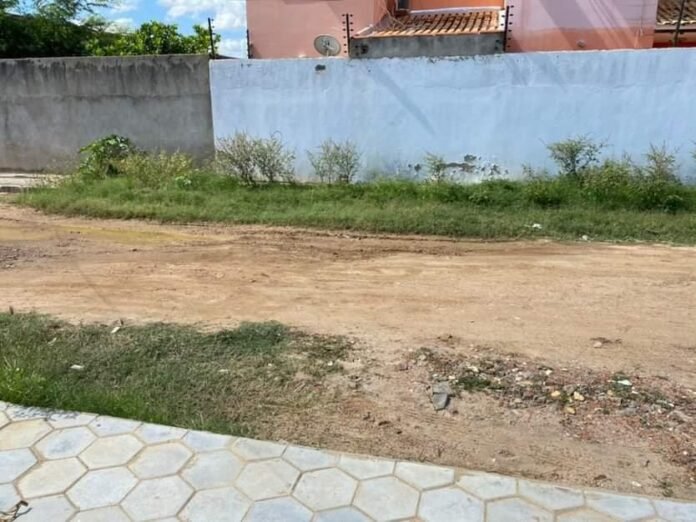 palmares2