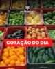 Confira a cotação dos hortifrutigranjeiros comercializados no Mercado do Produtor de Juazeiro nesta quinta-feira