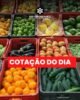 Confira a cotação dos hortifrutigranjeiros comercializados no Mercado do Produtor de Juazeiro nesta terça-feira