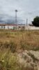 Moradores continuam clamando por serviços de capina e limpeza nos bairros