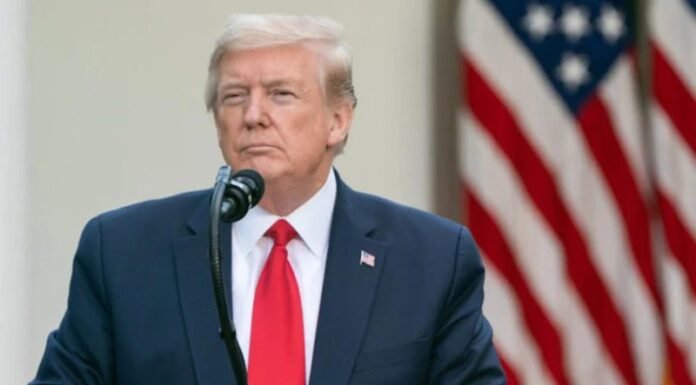 Novas tarifas de Trump não devem impactar economia do Brasil