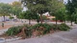 Morador do Centenário, em Juazeiro, critica falta de ação do poder púbico no bairro e deseducação de moradores: “Uma bagunça total”
