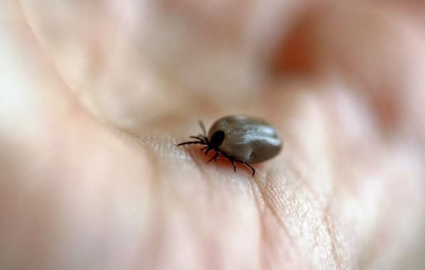 IMAGEM_NOTICIA_5 (2)