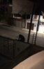 “Furtos, brigas. Impossível a convivência”: Vizinhos do Centro Pop, que atende a pessoas em situação de rua, em Juazeiro, relatam transtornos e pedem que prefeitura adote providências