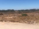 Morador do Residencial Dr. Humberto, em Juazeiro, pede revitalização do campo de futebol: “Possui grades e traves, mas o mato tomou conta”