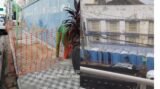 “É muita falta de respeito”: Dois dias após a Defesa Civil de Juazeiro interditar área do prédio da 28 de Setembro, organização do carnaval instala banheiros químicos no local; fachada apresenta rachaduras