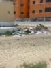 Moradores da Rua José Matias, Maringá, Juazeiro, reclamam de acúmulo de lixo na via: “Os ratos estão invadindo nossas casas”; eles dizem que a prefeitura “iniciou o lixão”