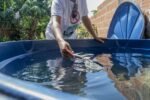 Qual o plano de contingência de Juazeiro para enfrentar a dengue?: Moradores cobram presença de Agentes de Endemias e ações mais efetivas; Sesau se manifesta