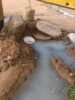 Moradora do Itaberaba, Juazeiro, alerta o SAAE para acúmulo de água provocado por boca de lobo estourada: “Não é só água dentro de casa que oferece risco não”