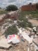 Morador do Monte Serrat, em Juazeiro, chama atenção para “lixão” no loteamento: “Moradores de outros bairros estão jogando todo tipo de lixo e entulhos”; Semaurb se manifesta