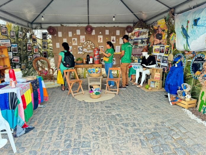 5ª Feira Literária Internacional de Canudos (2)