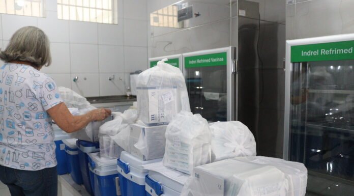 Hepatites virais causam mais de mil mortes em 2024 no Brasil