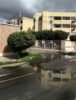 Morador da Vila Mocó, em Petrolina, reclama de esgoto a céu aberto