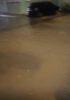 Chuvas agravam problema de esgoto no bairro Argemiro, em Juazeiro, e morador cobra solução