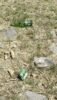 Mesmo com o apelo da campanha “Juazeiro Limpa”, jornalista se depara com lixo na orla da cidade e critica: “Quem frequenta a orla, quando está comendo em casa, joga no chão assim?”