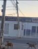 20 dias após alerta de moradores sobre poste que está prestes a cair no bairro Alto da Aliança, Juazeiro, nada foi feito: “Estão esperando matar uma pessoa?”