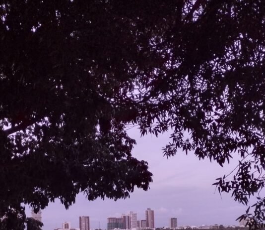 “O Desenvolvimento Desigual de Petrolina e Juazeiro na Análise de Ronald Chilcote” por João Gilberto Guimarães