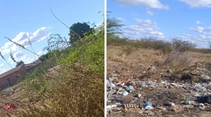 Após reclamação de moradora sobre falta de serviços públicos de limpeza e capina no bairro Piranga II, em Juazeiro, SESP se manifesta