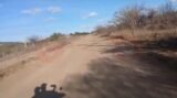 Produtores rurais clamam por melhorias na Estrada da Adutora em Juazeiro: “Impacta na economia do município que vive da agricultura”