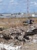 Tolerância Zero aos Sujões: Carroceiros insistem em jogar entulhos em vias públicas de Juazeiro, revoltando moradores: “Ou pune ou de nada adianta limpar”