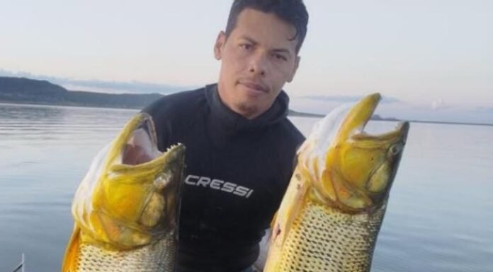 Policial Militar de Pernambuco morre em acidente na BR-407, em Petrolina