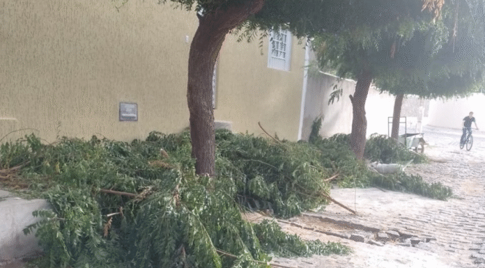 Resto de poda, lixo na porta do CAPS I: Moradora flagra descarte irregular em ruas do bairro Country Club, em Juazeiro