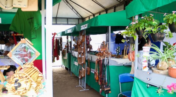 Feira do Bode de Pinhões celebra tradição e impulsiona a economia rural com grande público no fim de semana