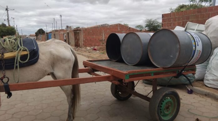 Furtados: Guarda Municipal recupera toneis de lixo do “Juazeiro Limpa” em uma carroça no bairro Nova Esperança
