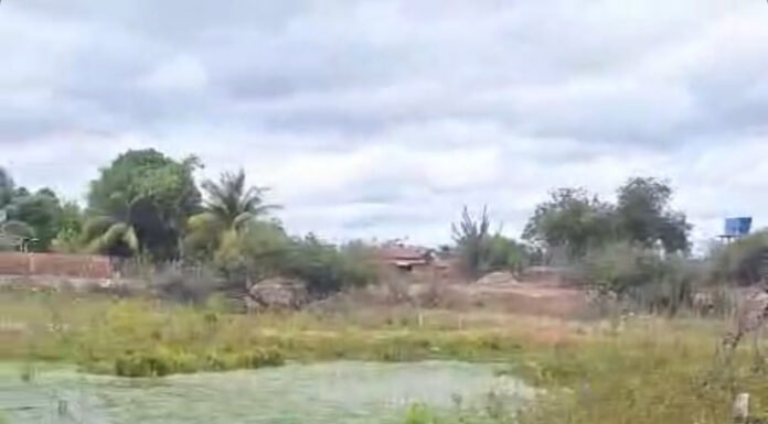 Morador do distrito de Maniçoba, Juazeiro, reclama de vazamento de água limpa: “não sei mais a quem recorrer”; DIM responde
