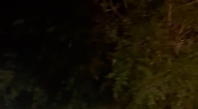 Comerciante reclama da falta de iluminação pública após retirada de poste no bairro Piranga, em Juazeiro: “estamos vulneráveis”