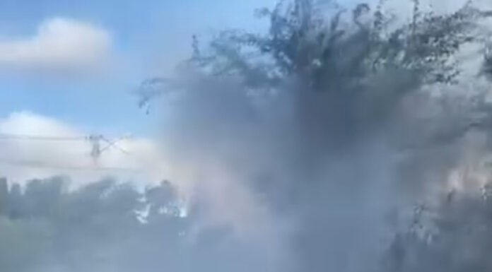 Morador reclama de queimadas em terreno no bairro Nossa Senhora das Grotas, em Juazeiro: “já é a quinta vez”