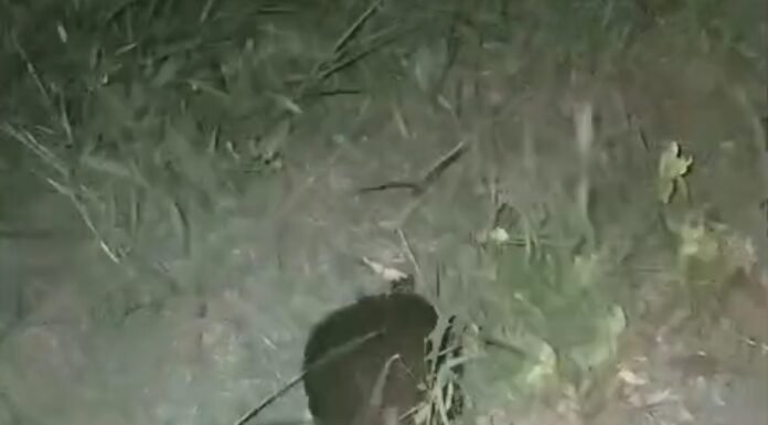 “O parque está largado às traças”: frequentadores reclamam de falta de manutenção na Lagoa de Calu e cobram providências da Prefeitura de Juazeiro