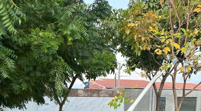 Morador do Castelo Branco, em Juazeiro, alerta para risco de acidente e reivindica manutenção na praça do bairro: “Antes que aconteça uma tragédia”