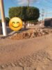 Moradora do bairro Quidé, em Juazeiro, reclama de descarte irregular de lixo em via publica: “não é possível a passagem de dois veículos ao mesmo tempo”