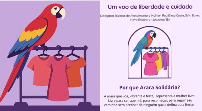 “Arara Solidária”: DEAM de Juazeiro cria espaço de doações para apoiar mulheres vítimas de violência; saiba como contribuir